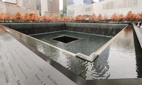 Day 40: Ground Zero